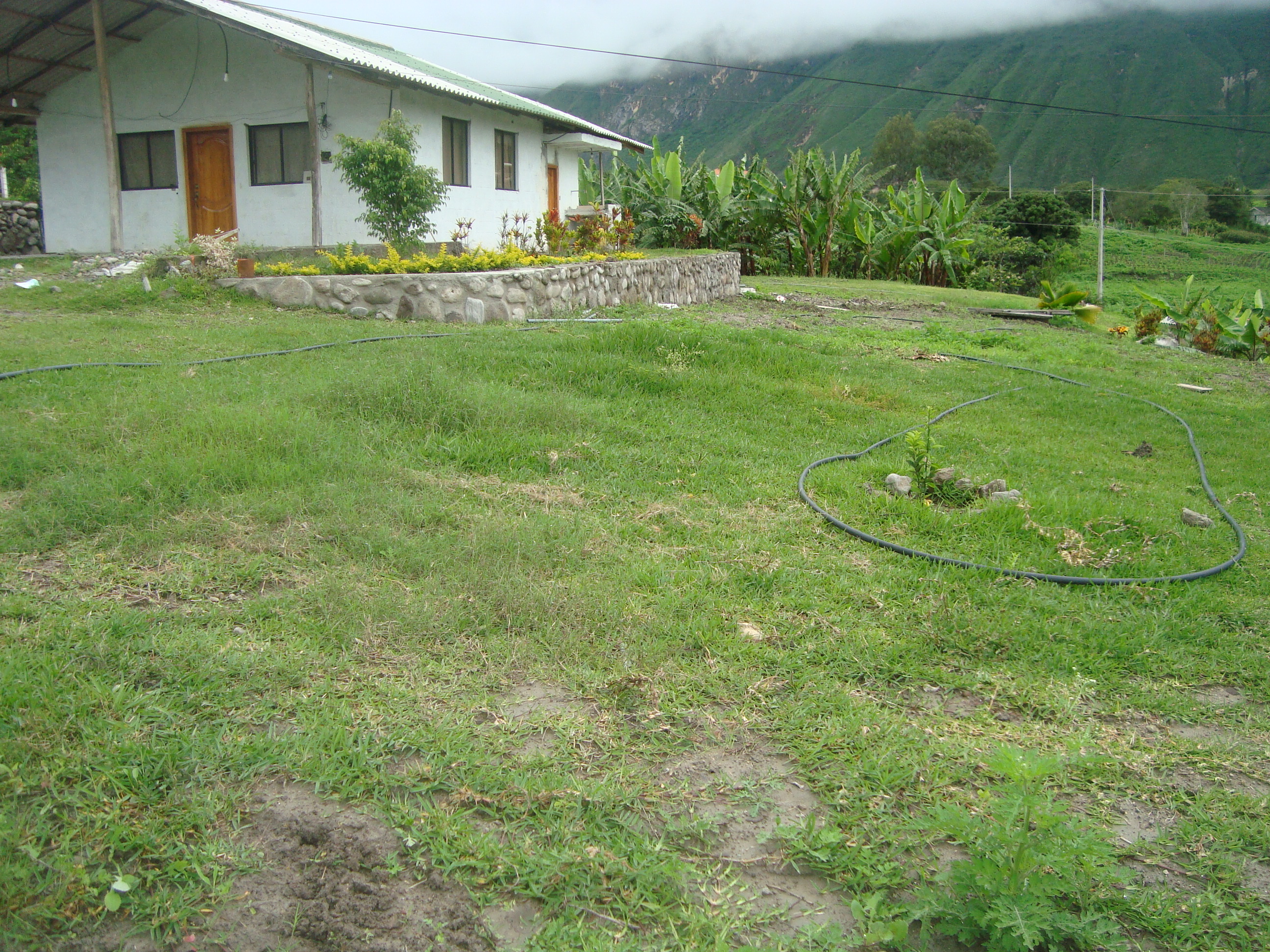 VENDO PROPIEDAD EN YUNGUILLA