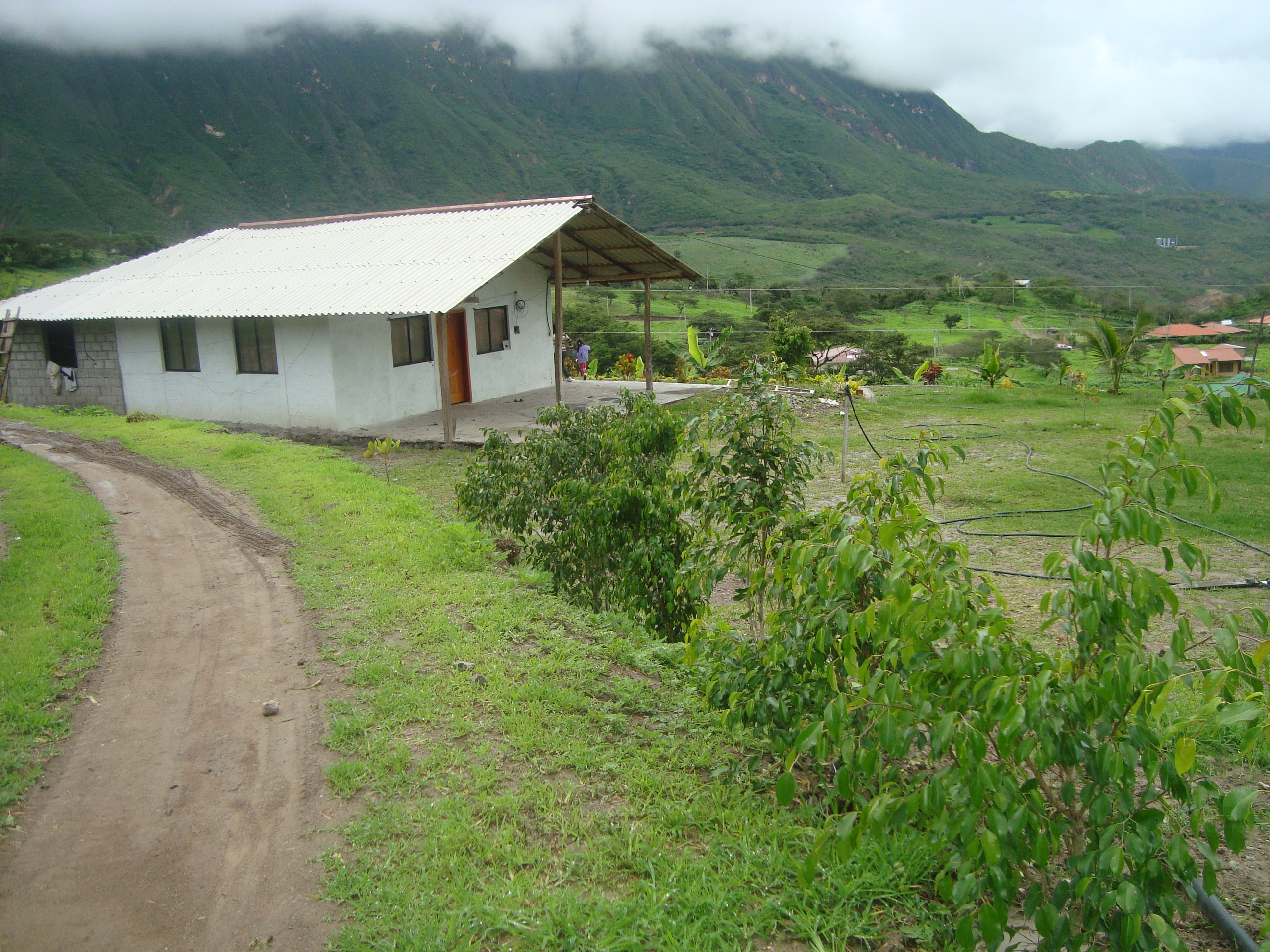 VENDO PROPIEDAD EN YUNGUILLA