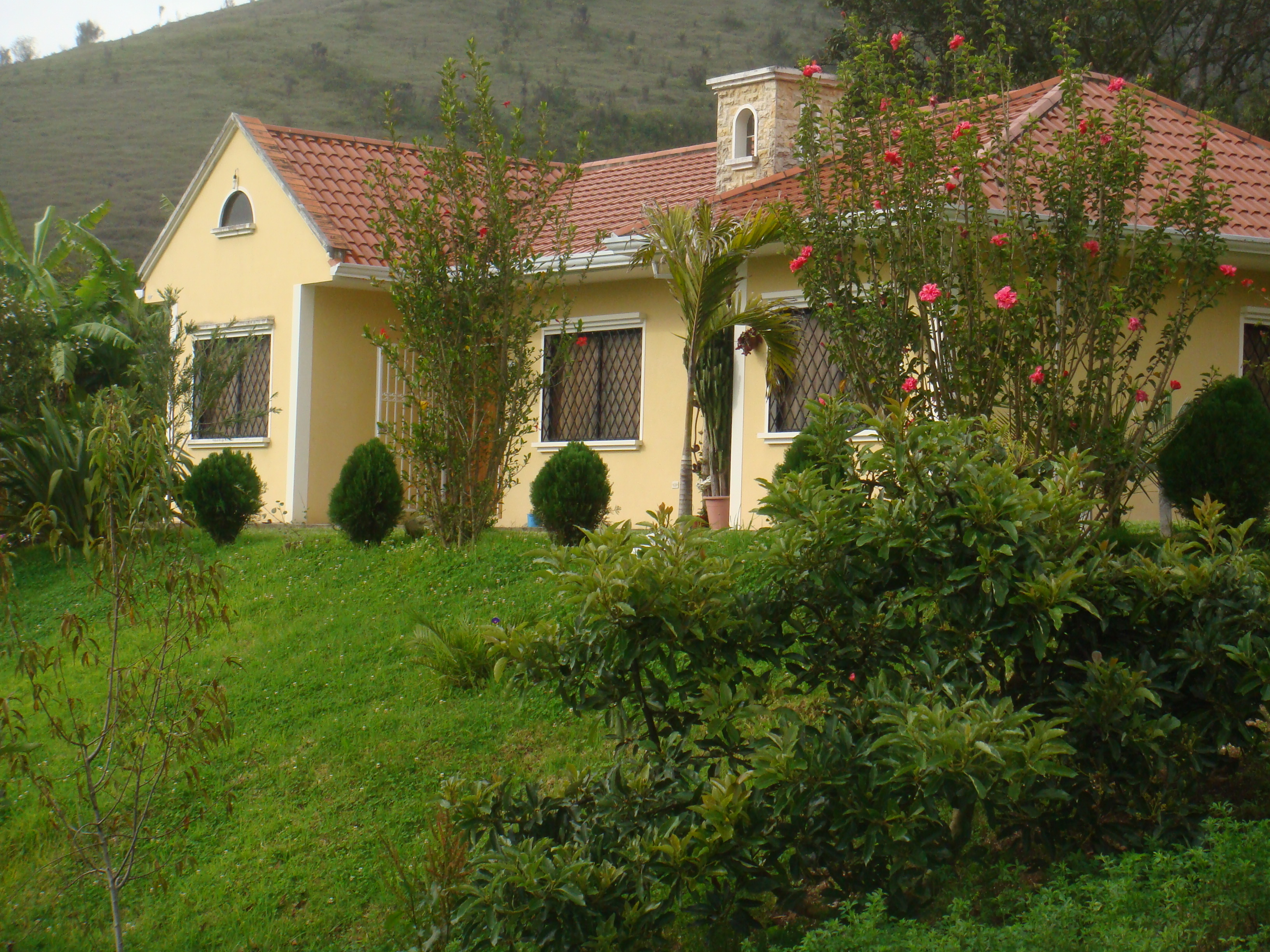 vendo casa en el campo