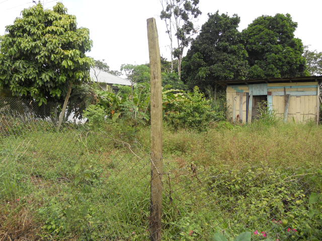 CONVENIENTE TERRENO EN LA AVE 3 DE NOVIEMBRE en Sucua