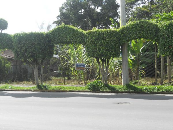 Lindo Terreno en el Barrio Norte (Sucua)