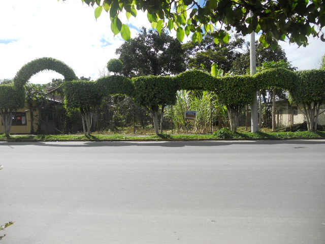 Lindo Terreno en el Barrio Norte (Sucua)