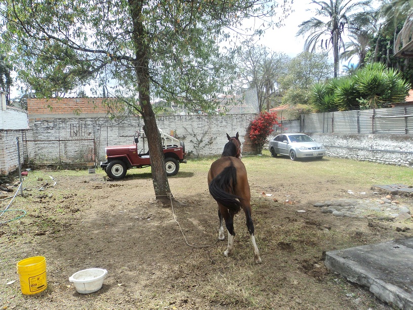 Terreno en Venta a Crédito completamente plano Sector Avenida 12 de Abril Cuenca - Ecuador