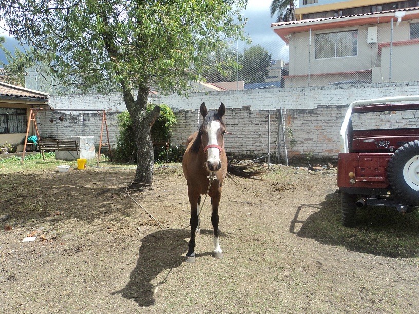 Terreno en Venta a Crédito completamente plano Sector Avenida 12 de Abril Cuenca - Ecuador