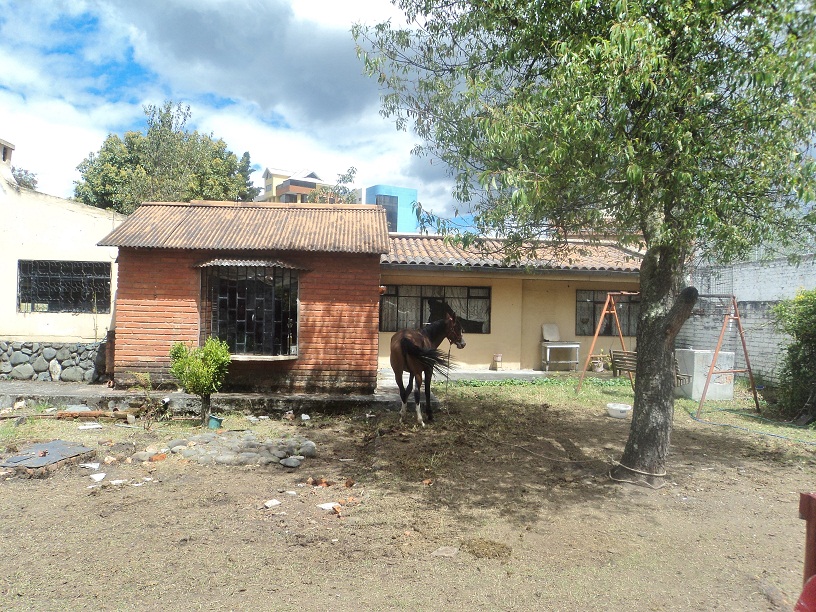 Terreno en Venta a Crédito completamente plano Sector Avenida 12 de Abril Cuenca - Ecuador