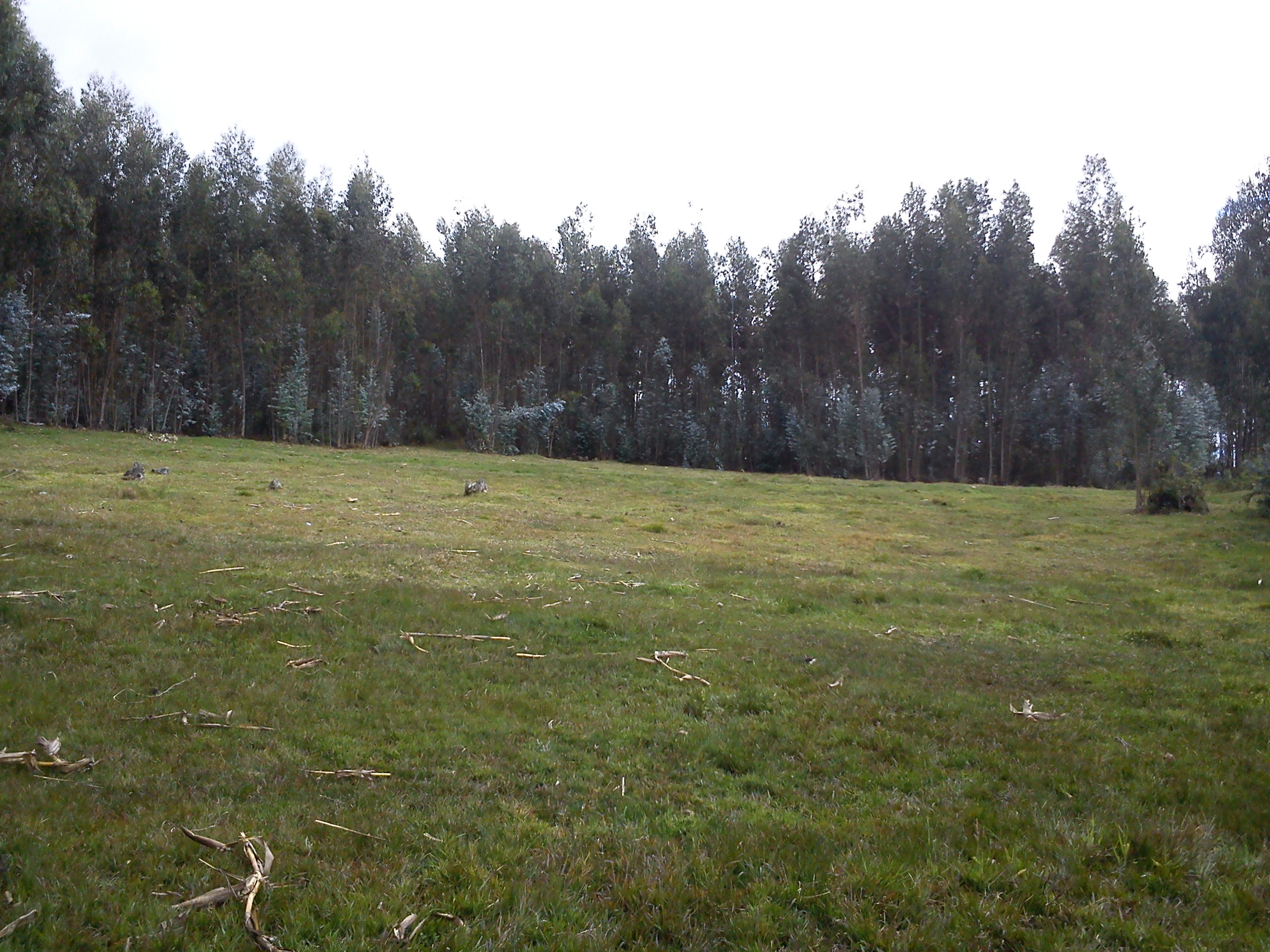 Ciudad del Futuro, Venta de hermoso terreno en San Miguel de Putuzhi a 2,46km de la Av. Ordoñez Lazo