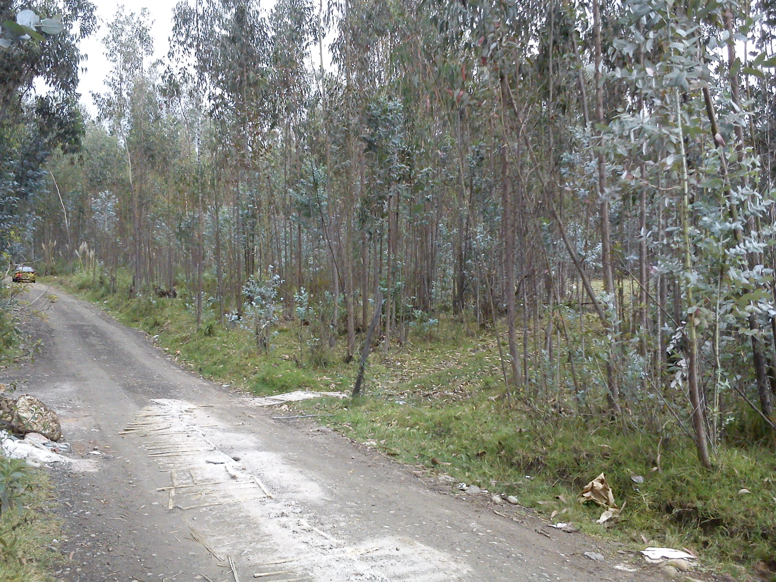 Ciudad del Futuro, Venta de hermoso terreno en San Miguel de Putuzhi a 2,46km de la Av. Ordoñez Lazo