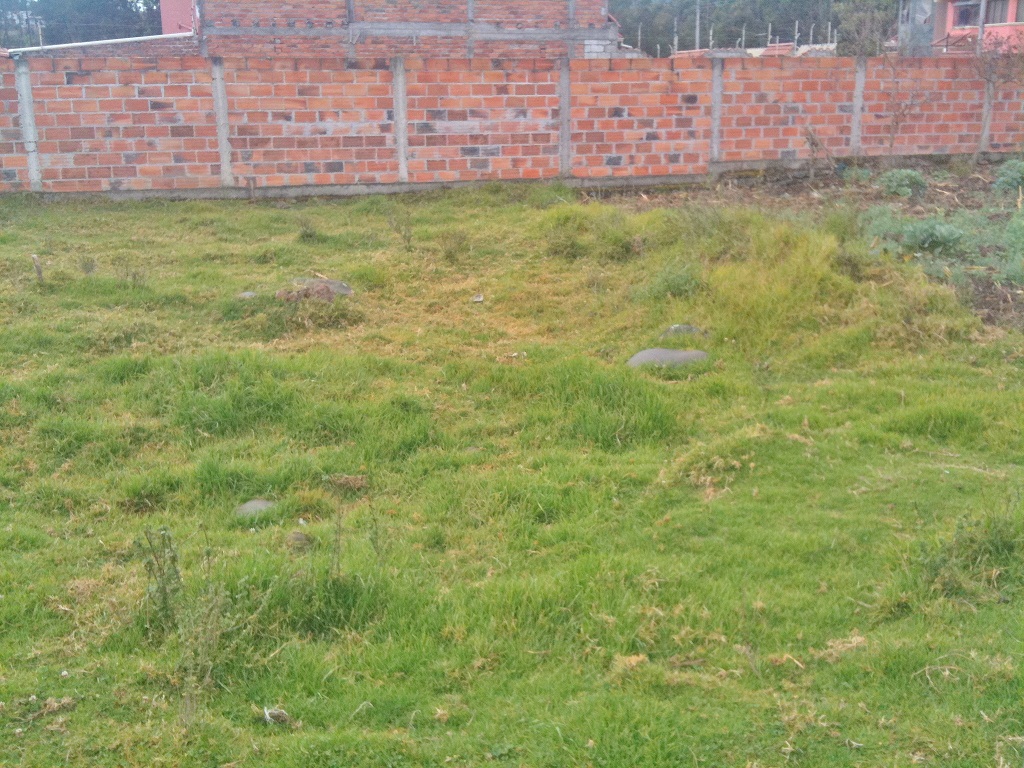 Terreno en Venta a crédito amplio y plano sector Ordoñez Lasso  Cuenca - Ecuador