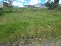Clasificado 4755