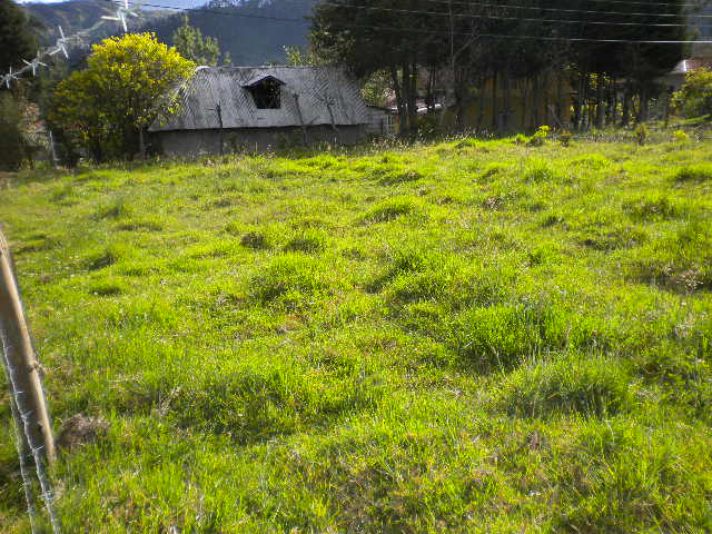 Hermoso Terreno en Misicata