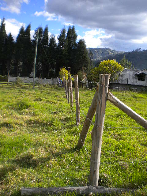 Hermoso Terreno en Misicata