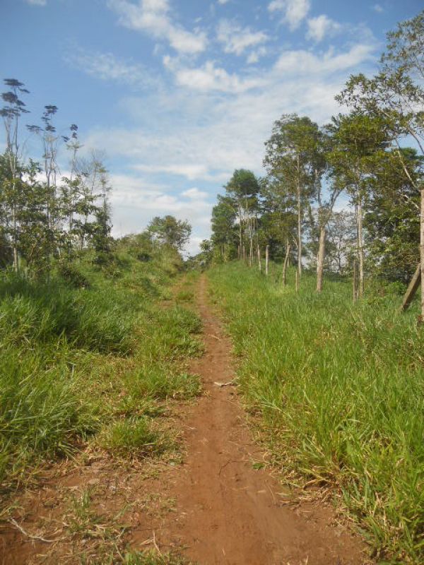 FINCA DE 23 HECTAREAS !!!!