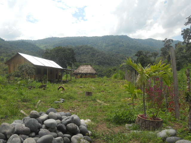 FINCA DE 23 HECTAREAS !!!!