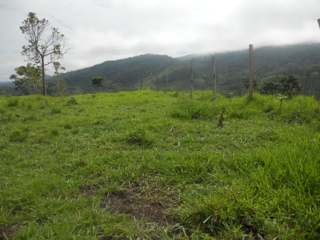 FINCA DE 23 HECTAREAS !!!!