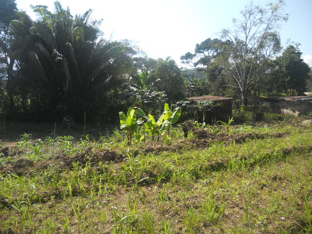 518,86 m2 en la Av 2000