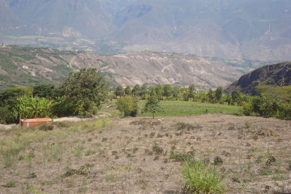 FINCA EN YUNGUILLA