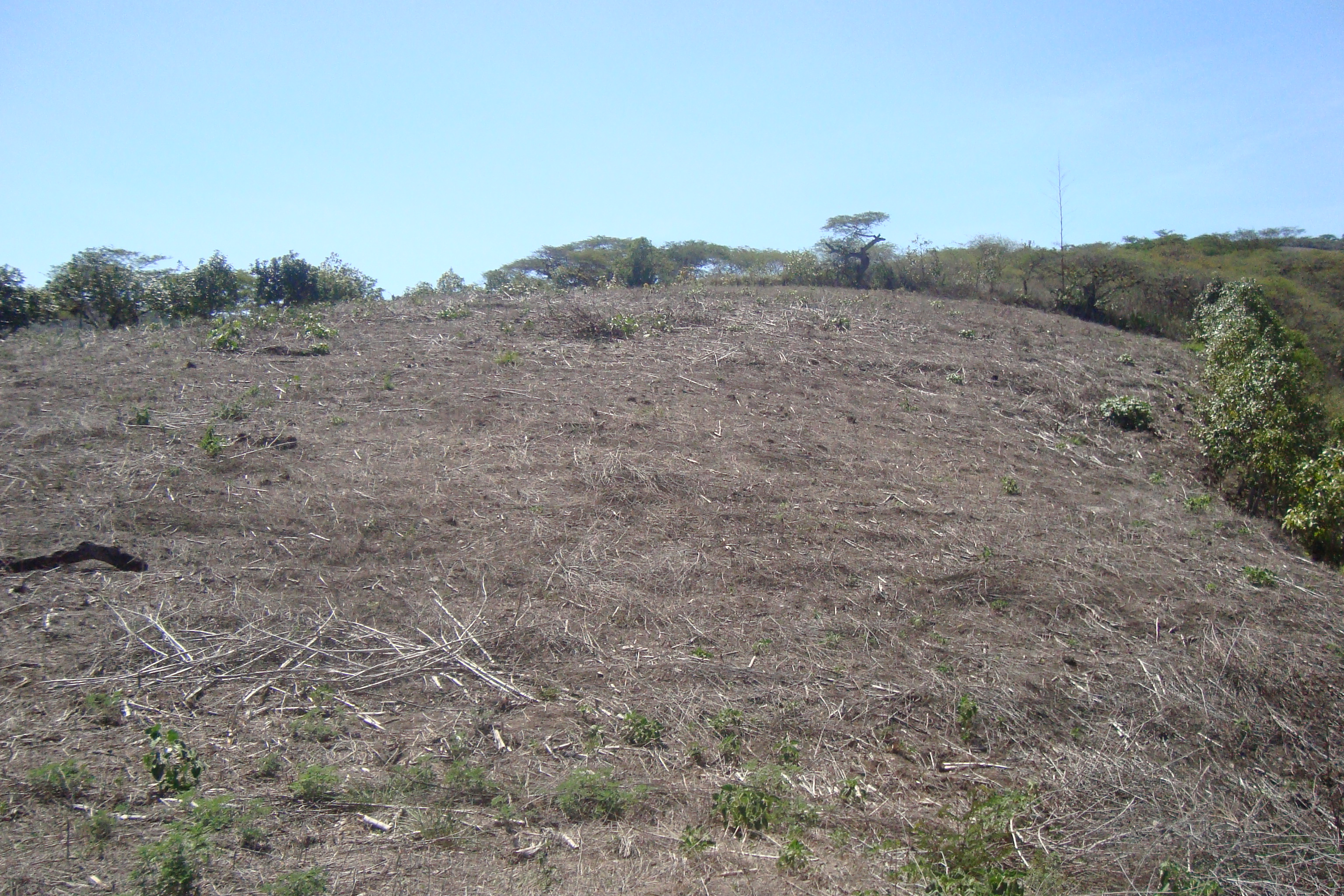 FINCA EN YUNGUILLA