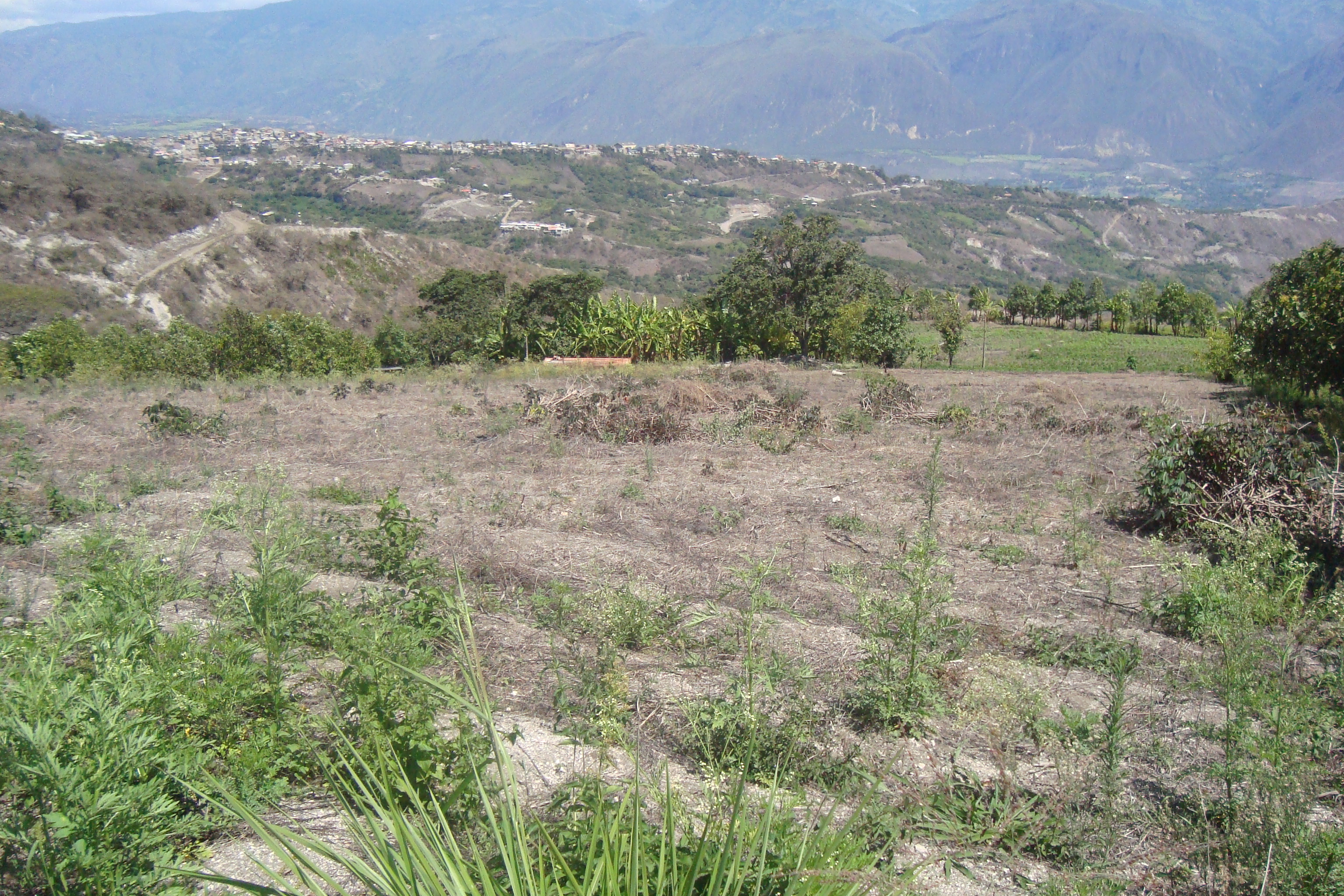 FINCA EN YUNGUILLA