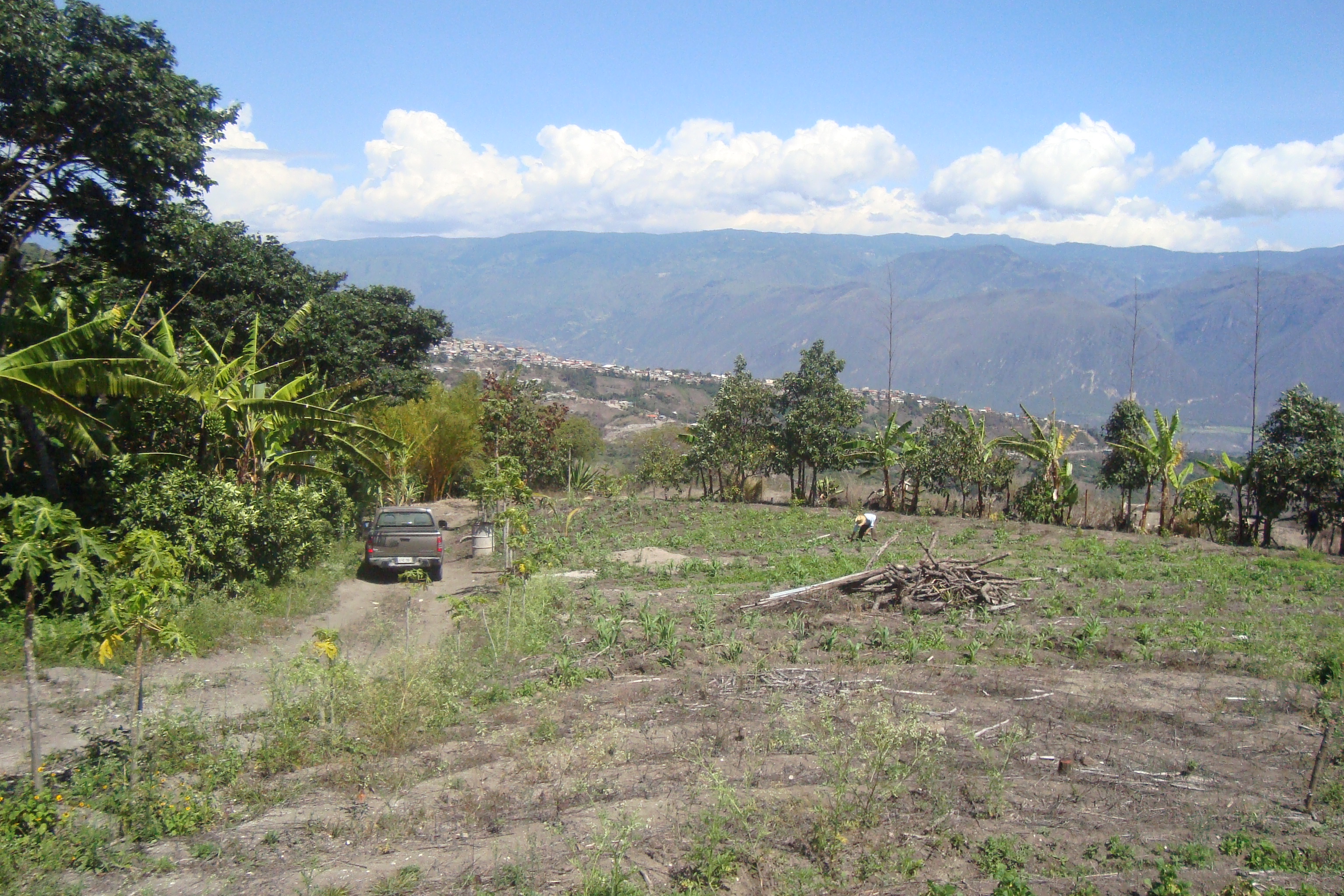 FINCA EN YUNGUILLA