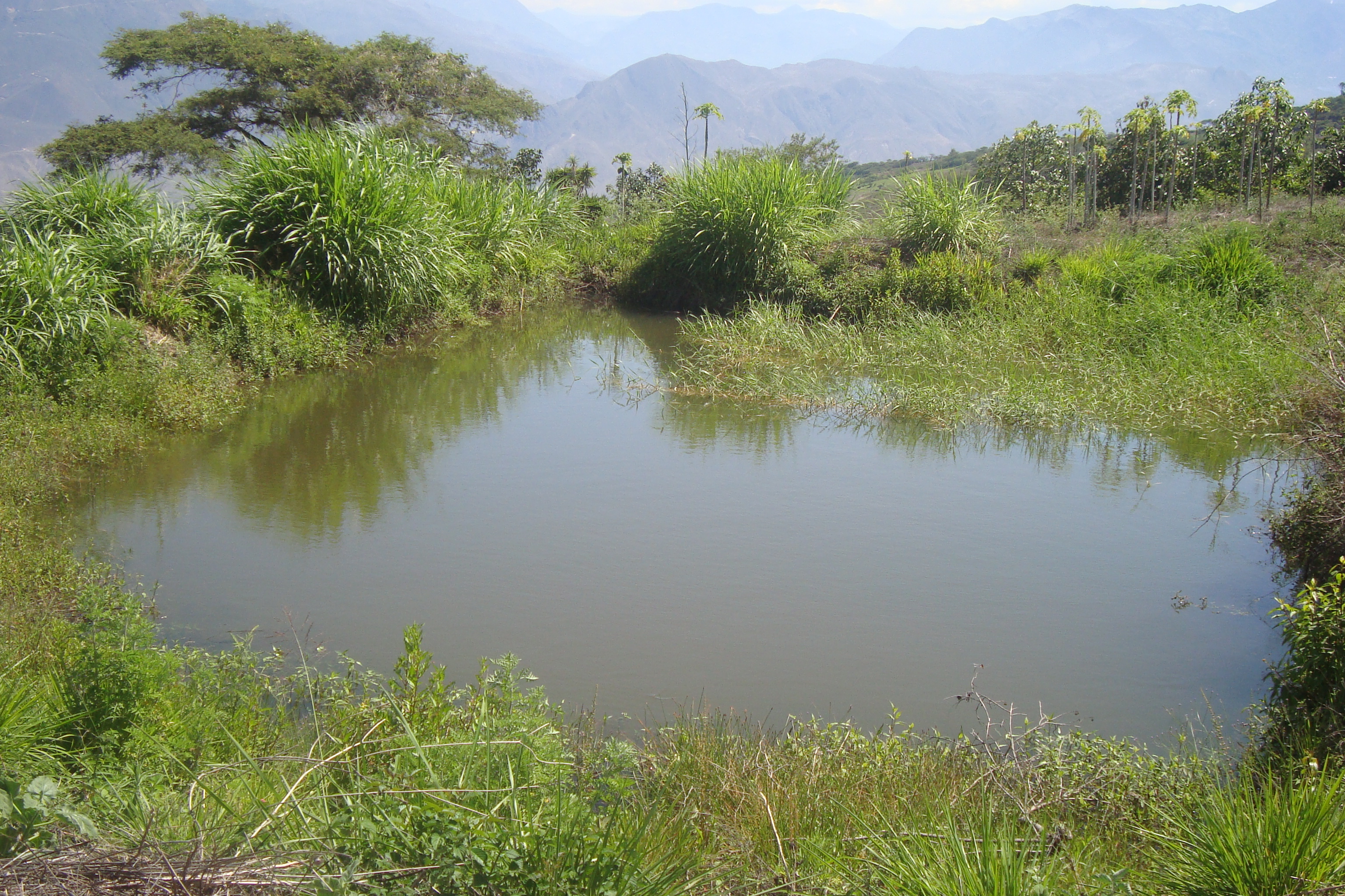 FINCA EN YUNGUILLA
