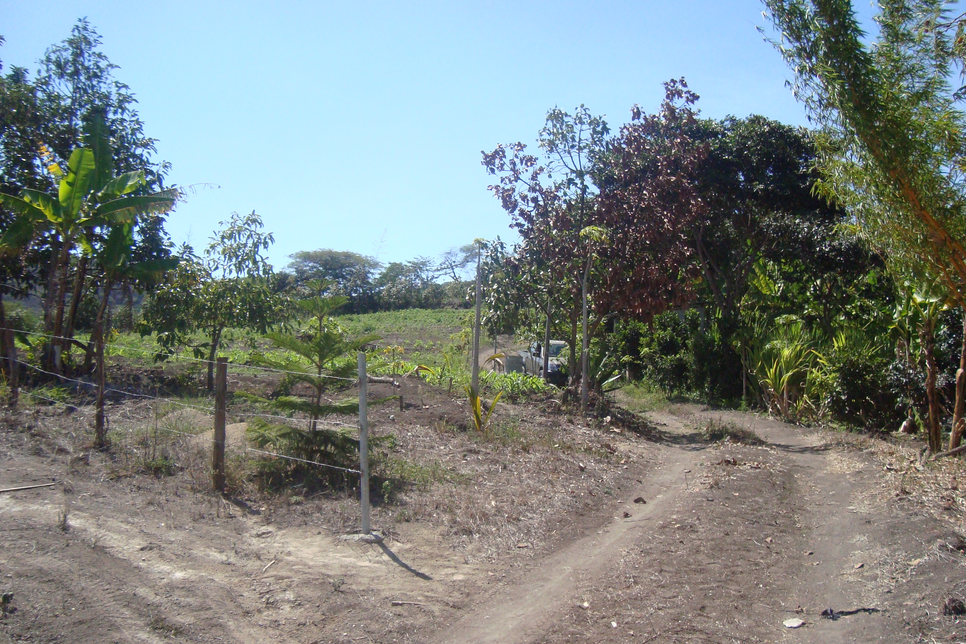 FINCA EN YUNGUILLA