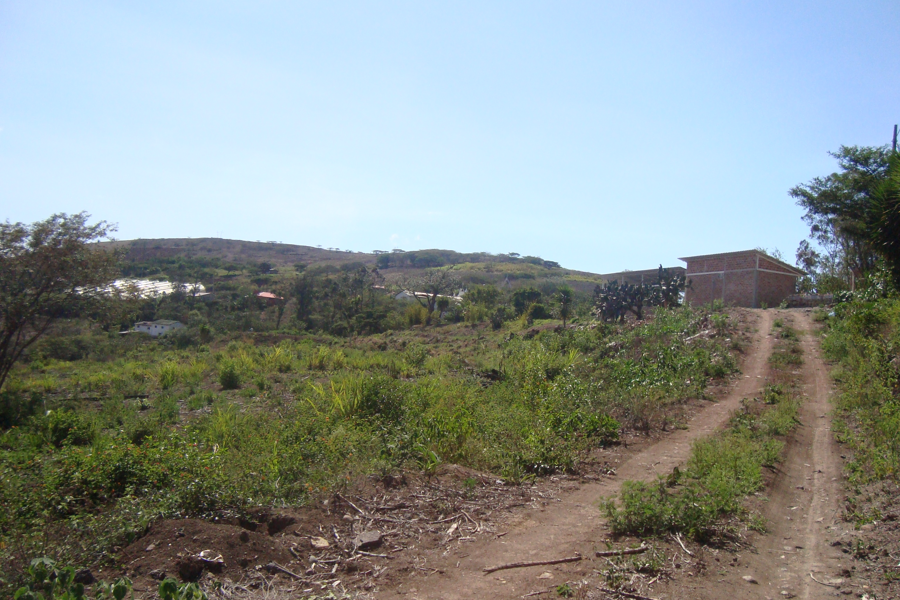 LOTES EN YUNGUILLA