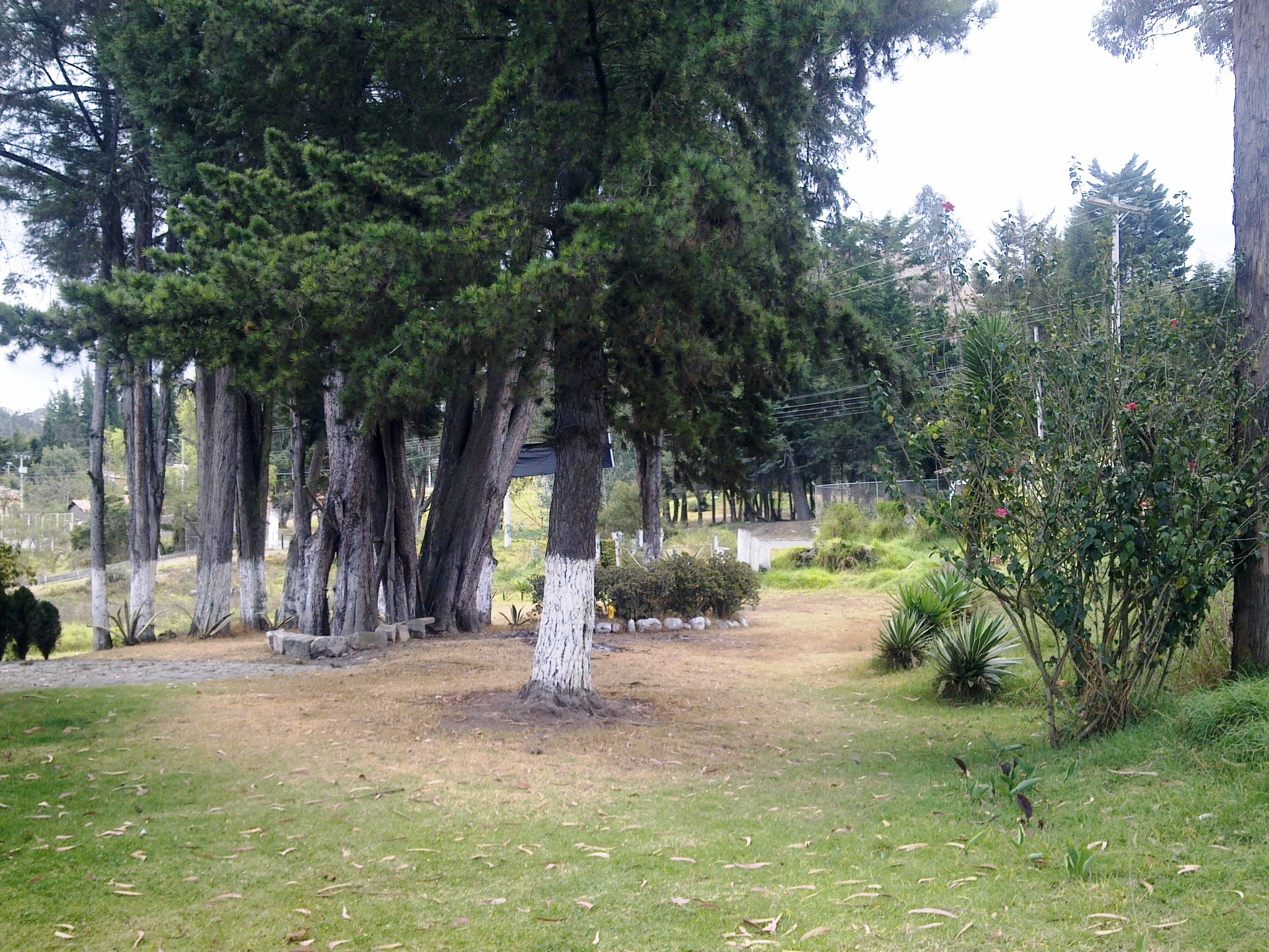 Villa con Terreno en Chaullabamba