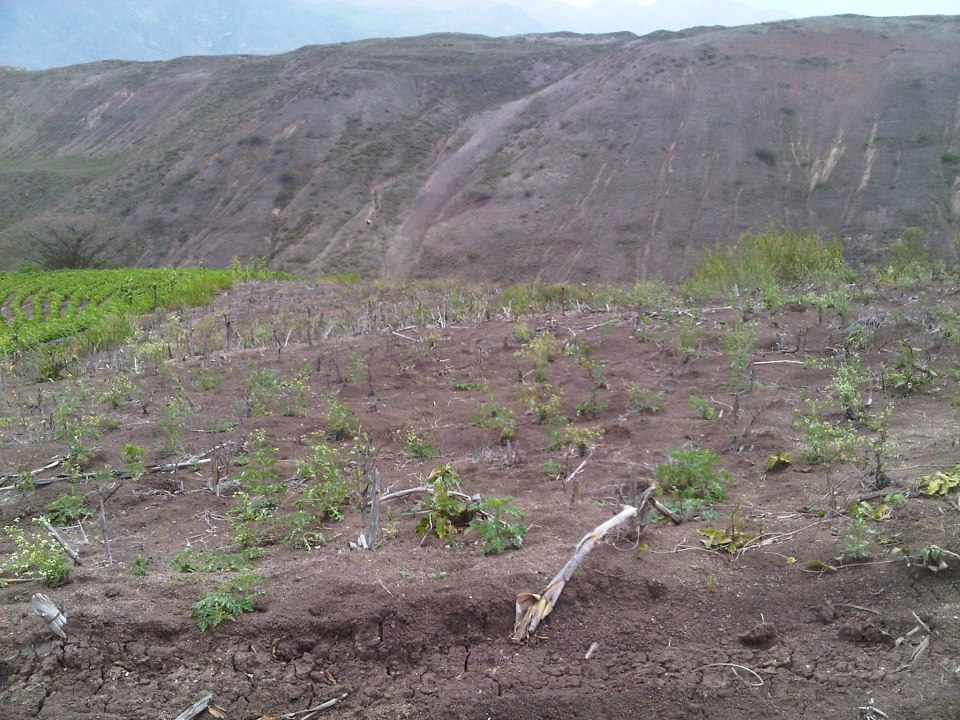 Vendo Terreno en Yunguilla