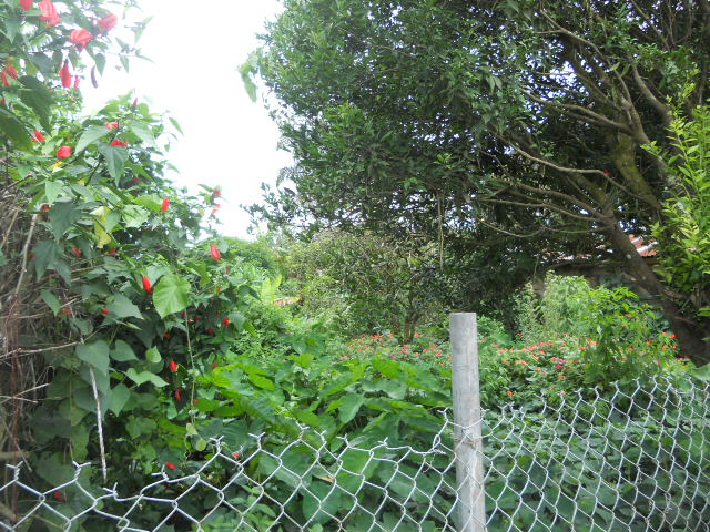 Terreno Comercial en el centro de Sucúa