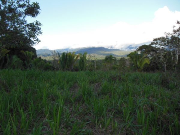 Extenso terreno, aprovéchelo