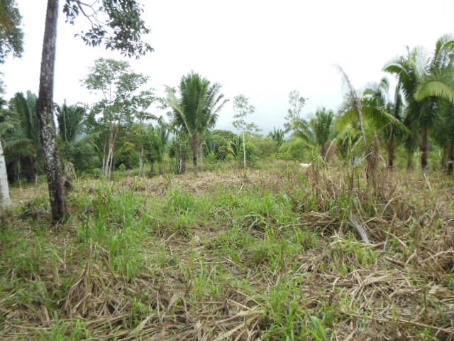 Extenso terreno, aprovéchelo