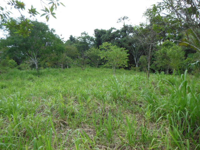 Extenso terreno, aprovéchelo