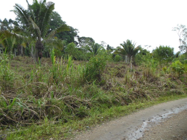 Extenso terreno, aprovéchelo