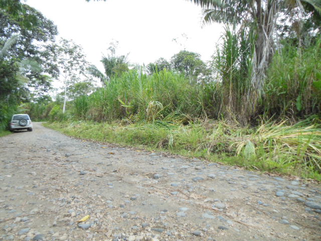 Extenso terreno, aprovéchelo