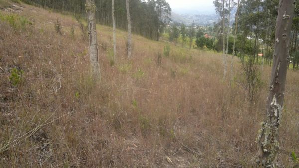 Terreno en Chican - Paute