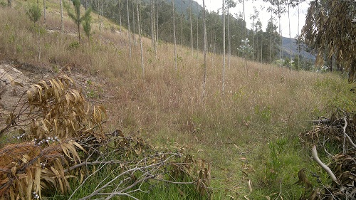 Terreno en Chican - Paute