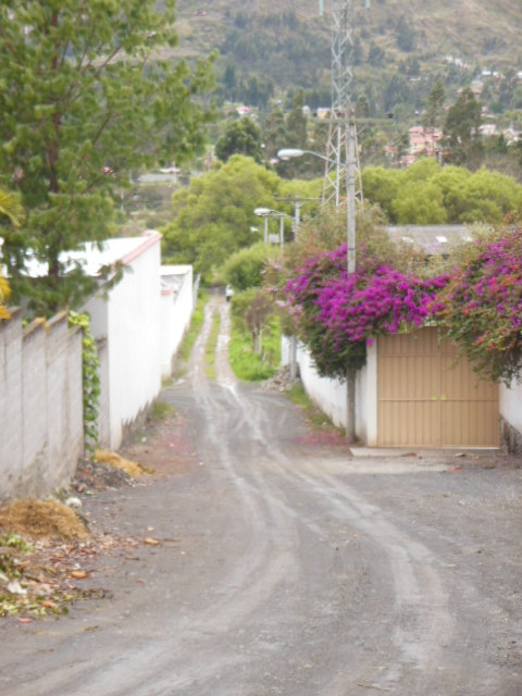 Terreno En Chaullabamba