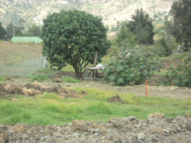 Sitio en Venta a Crédito Sector Uzhupud  Paute-Ecuador