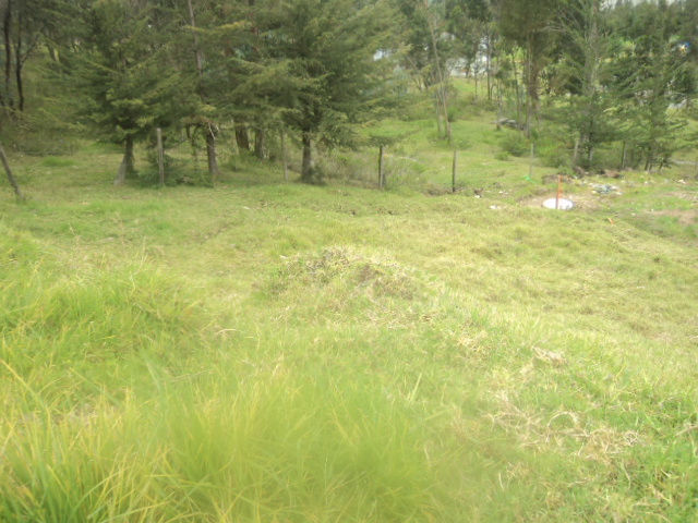 Sitio en Venta a Crédito Sector Uzhupud  Paute-Ecuador
