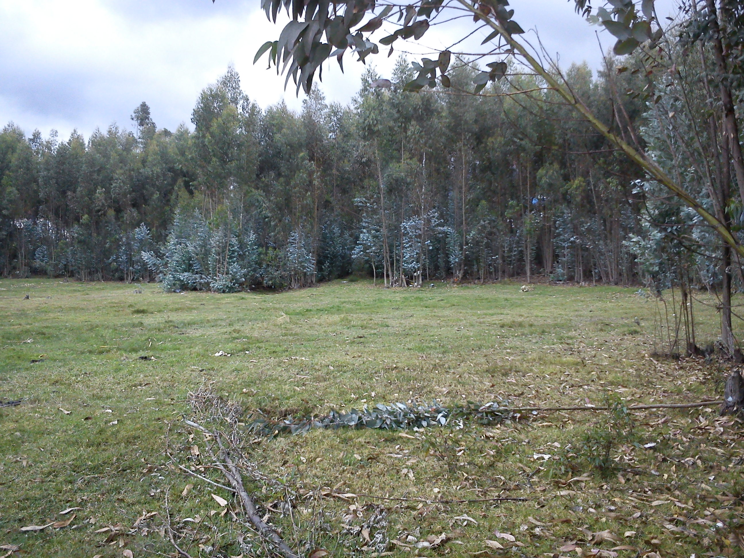 Terreno en Venta a Crédito sector San Miguel de Putuzhi, a 2,46 km de la AV. Ordoñez Lazo Cuenca Ecuador
