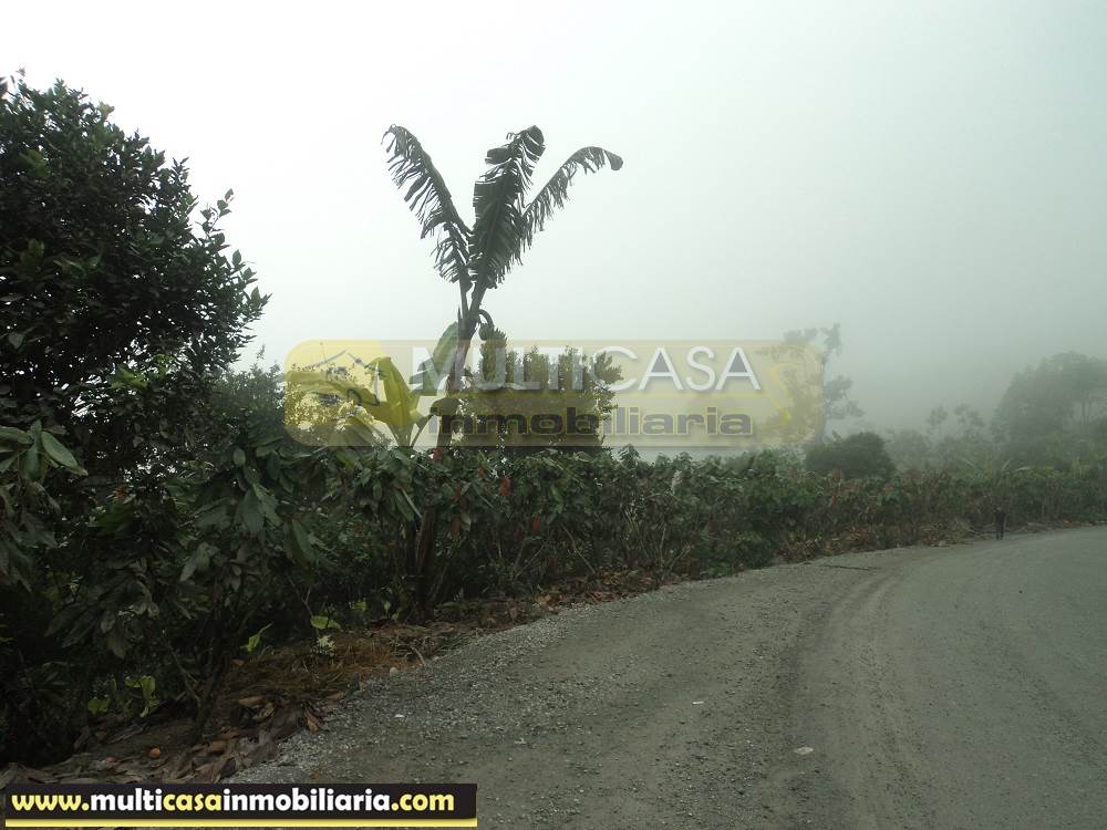 Sitio en Venta a crédito produce Cacao y Frutas Cítricas sector Sarayunga Girón - Ecuador