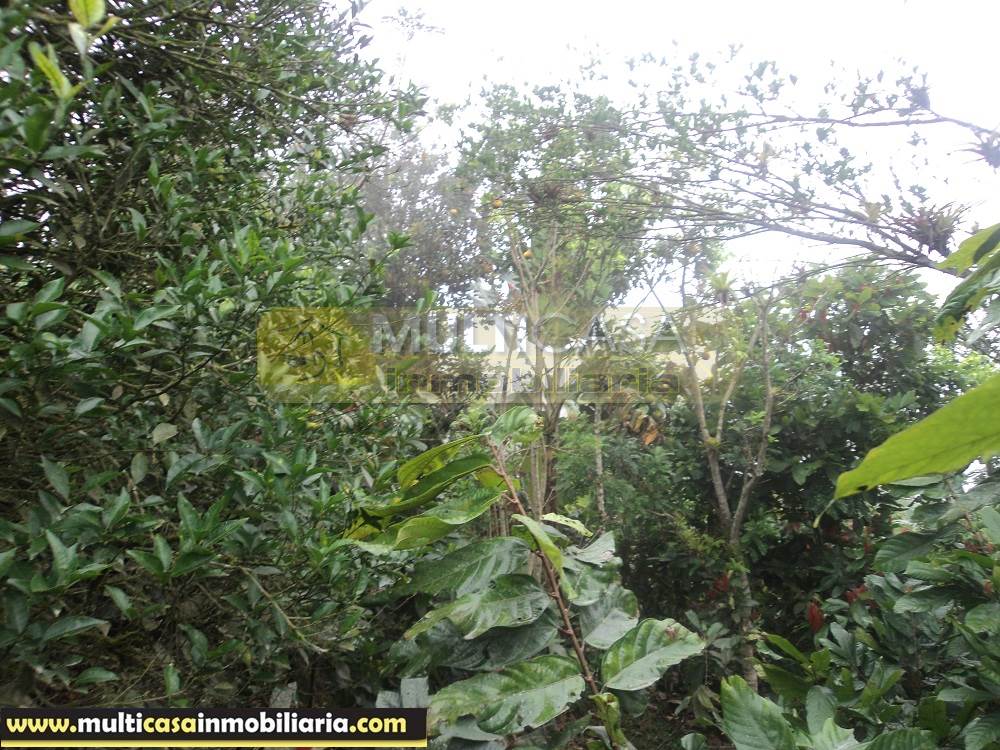 Sitio en Venta a crédito produce Cacao y Frutas Cítricas sector Sarayunga Girón - Ecuador