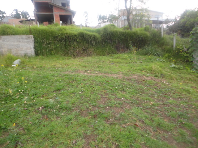 Venta de Hermoso Terreno a crédito sector Misicata Cuenca - Ecuador