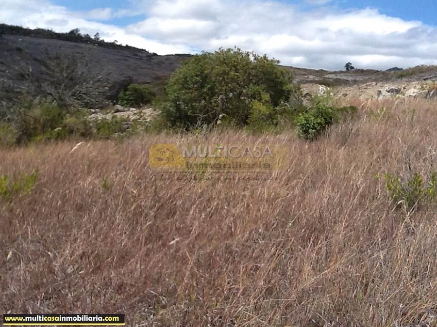 Sitio en Venta a crédito con servicios básicos sector El Molle-Challuabamba  Cuenca - Ecuador