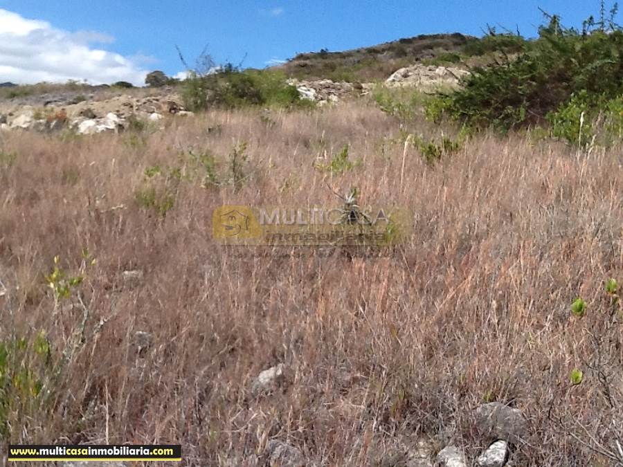 Sitio en Venta a crédito con servicios básicos sector El Molle-Challuabamba  Cuenca - Ecuador