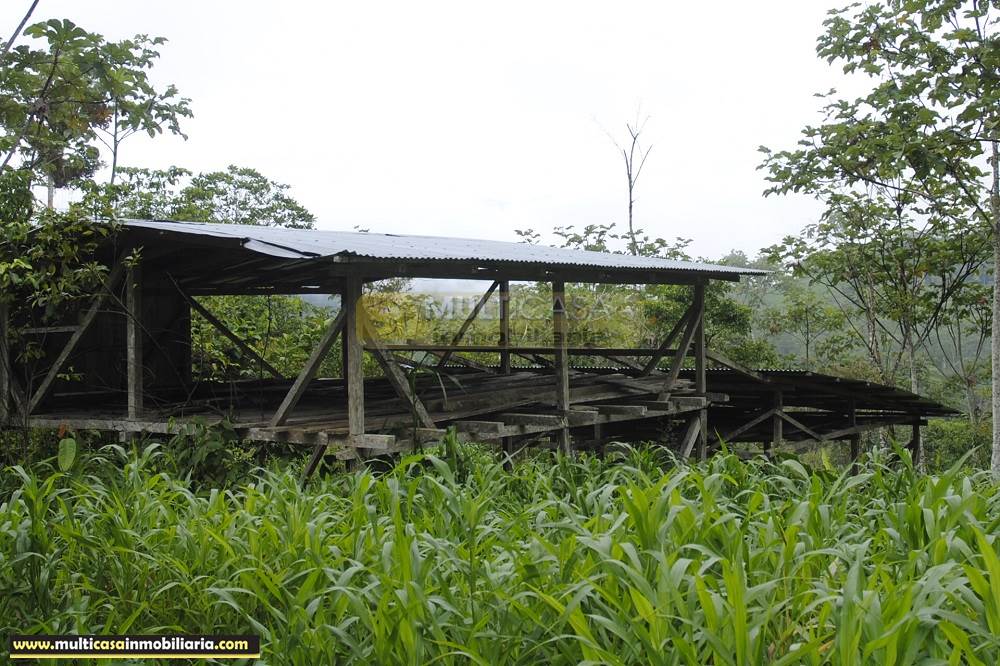 Finca en Venta a crédito bañada en agua sector Logroño Macas - Ecuador