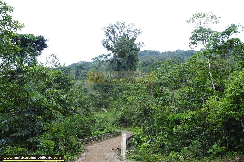 Finca en Venta a crédito bañada en agua sector Logroño Macas - Ecuador