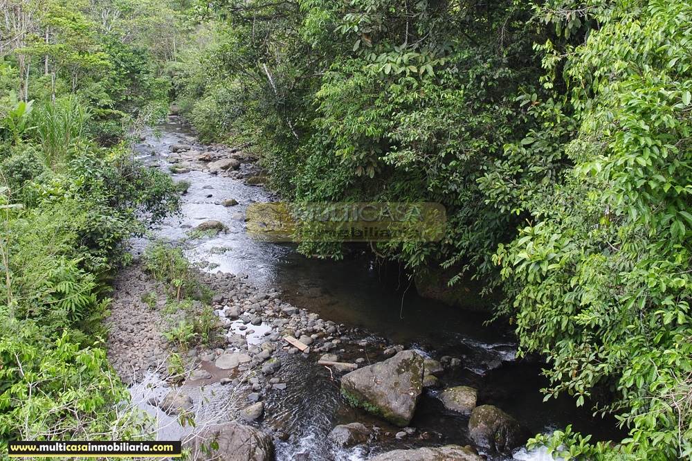 Finca en Venta a crédito bañada en agua sector Logroño Macas - Ecuador