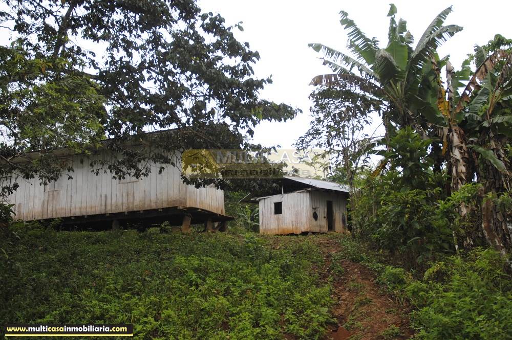 Finca en Venta a crédito bañada en agua sector Logroño Macas - Ecuador