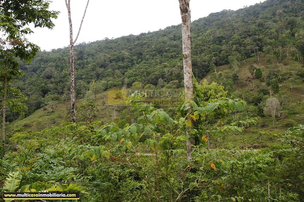Quinta en Venta a crédito ideal para Cultivo sector Logroño Macas - Ecuador